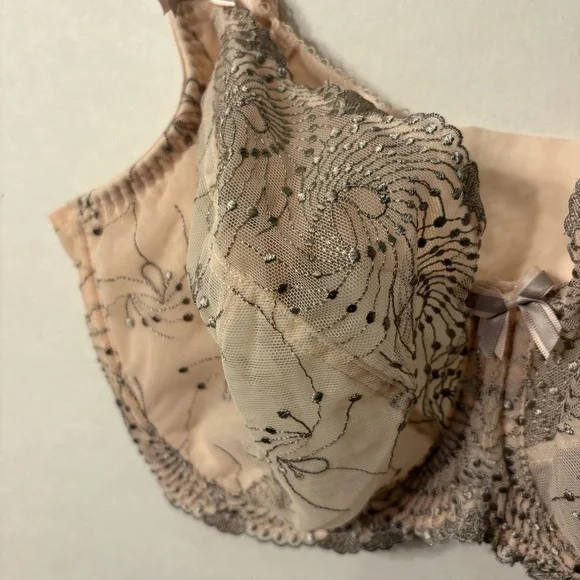 Fit Fully Yours Womens Nicole see -Thru Lace Bra Cloud Pink Size 36G - Picture 4 of 16